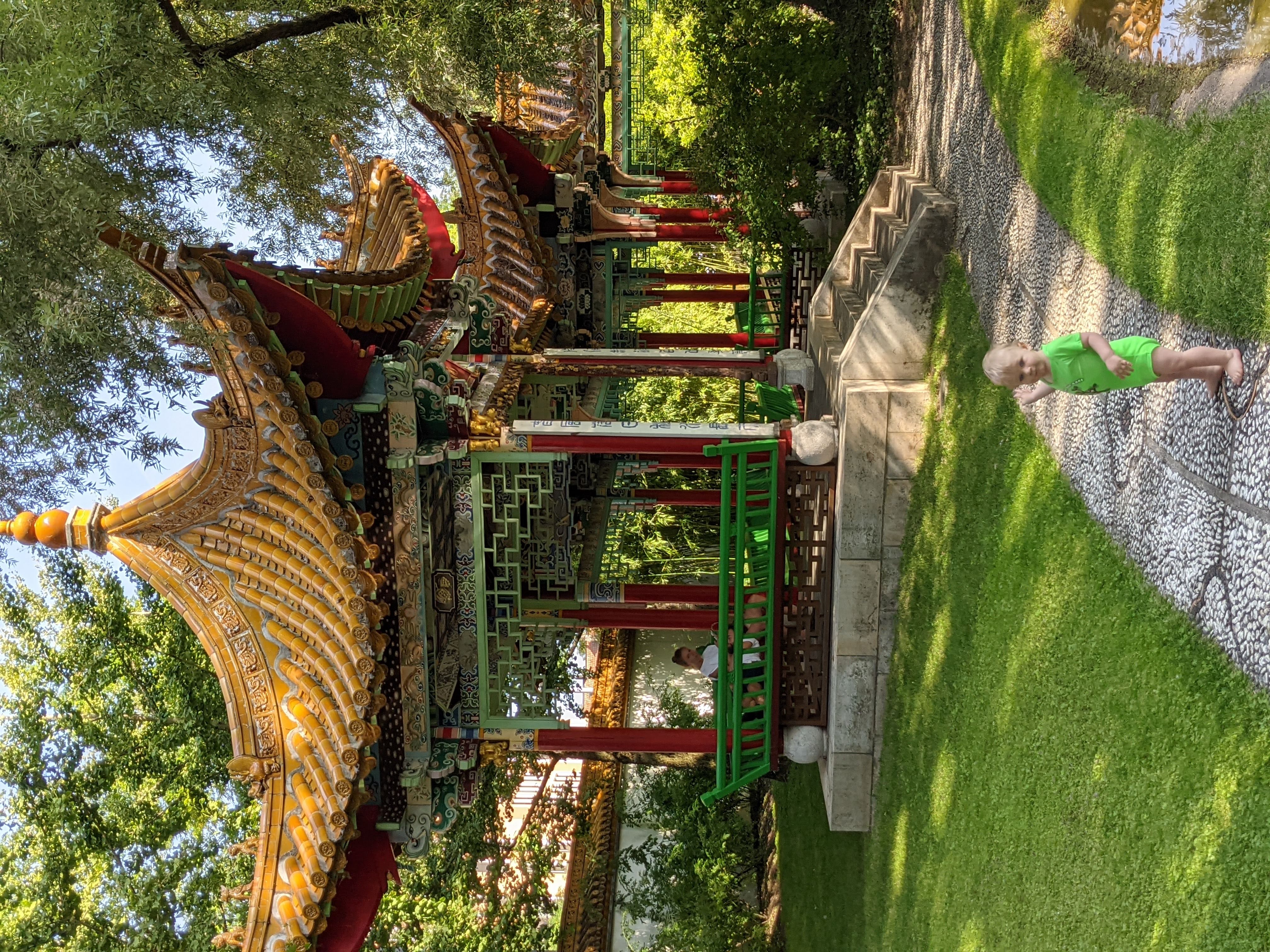 (RiccOverviewYaml) Tutto il 2021